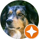 kevotheclone profile picture